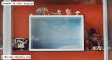 Load image into Gallery viewer, The Elephant in the Room (Scandi Blue)