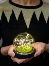 Load image into Gallery viewer, Microcosmos