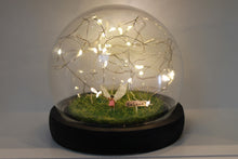 Load image into Gallery viewer, Microcosmos