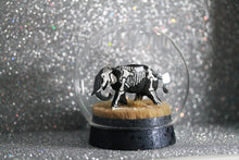 Load image into Gallery viewer, New! Microcosmos