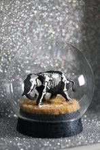 Load image into Gallery viewer, New! Microcosmos