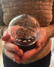 Load image into Gallery viewer, New! Microcosmos