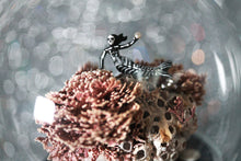 Load image into Gallery viewer, New! Microcosmos