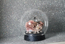 Load image into Gallery viewer, New! Microcosmos