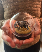 Load image into Gallery viewer, New! Microcosmos