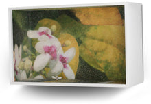 Load image into Gallery viewer, Flower Fairies (Medium size)